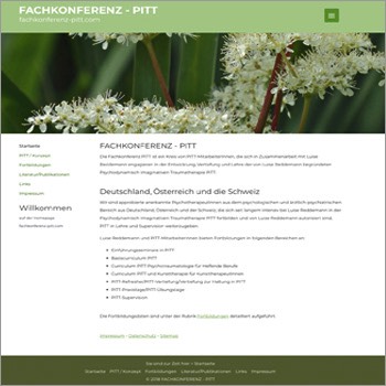 Referenz Website Pitt Fachkonferenz